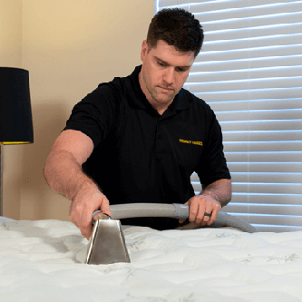 carpet cleaning in bronx, carpet cleaning in
                            new york, carpet cleaning bronx, carpet cleaners
                            in brooklyn, carpet cleaners in new york,
                            commercial carpet cleaning, commercial carpet
                            cleaning in bronx, bronx rug cleaners, rug
                            cleaning services in bronx same day carpet
                            cleaning, same day rug cleaning